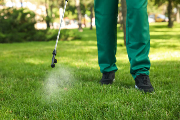 Wasp Removal Services in Kearns, UT