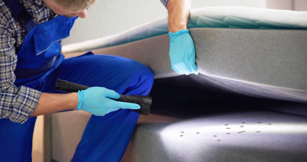 Best Wasp Removal Services  in Kearns, UT