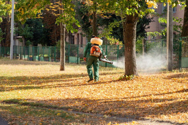 Best Pest Inspection Near Me  in Kearns, UT