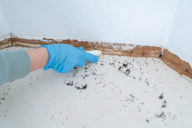Best Insect Control  in Kearns, UT